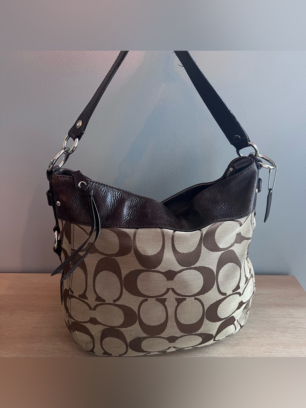 Coach Classic Zoe Large Hobo Bag